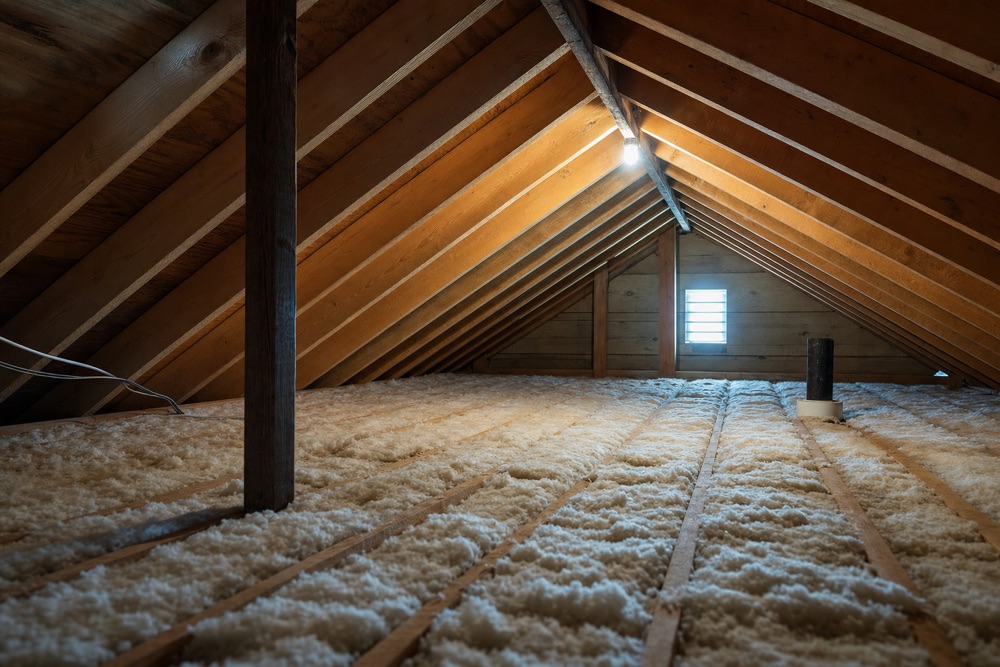 Attic with wooden rafters, roof sheathing and insulation under inspection lighting in a Fraser Valley home